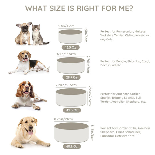 SPUNKYJUNKY 42OZ Ceramic Dog and Cat Bowl, Modern Cute Weighted Food Water Bowl for Replacement Gray (1 Pack)