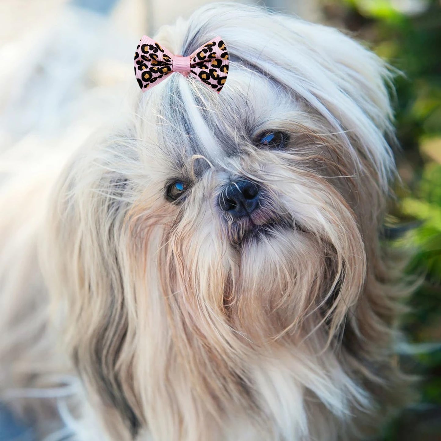Senniea 100PCS Cute Puppy Dog Small Bowknot Hair Bows,Yorkie Doggie Bows with Rubber Band Pet Grooming Bows Dog Hair Costume Accessories for Small Dog