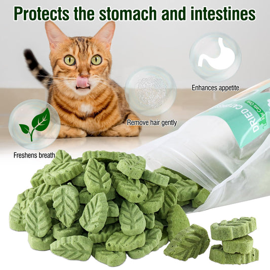 SYWUAII 100g/3.52oz Cat Grass Treats, Cat Grass Teething Stick for Hairball Remove and Teeth Cleaning, Edible Cats-Grass Stick Snack