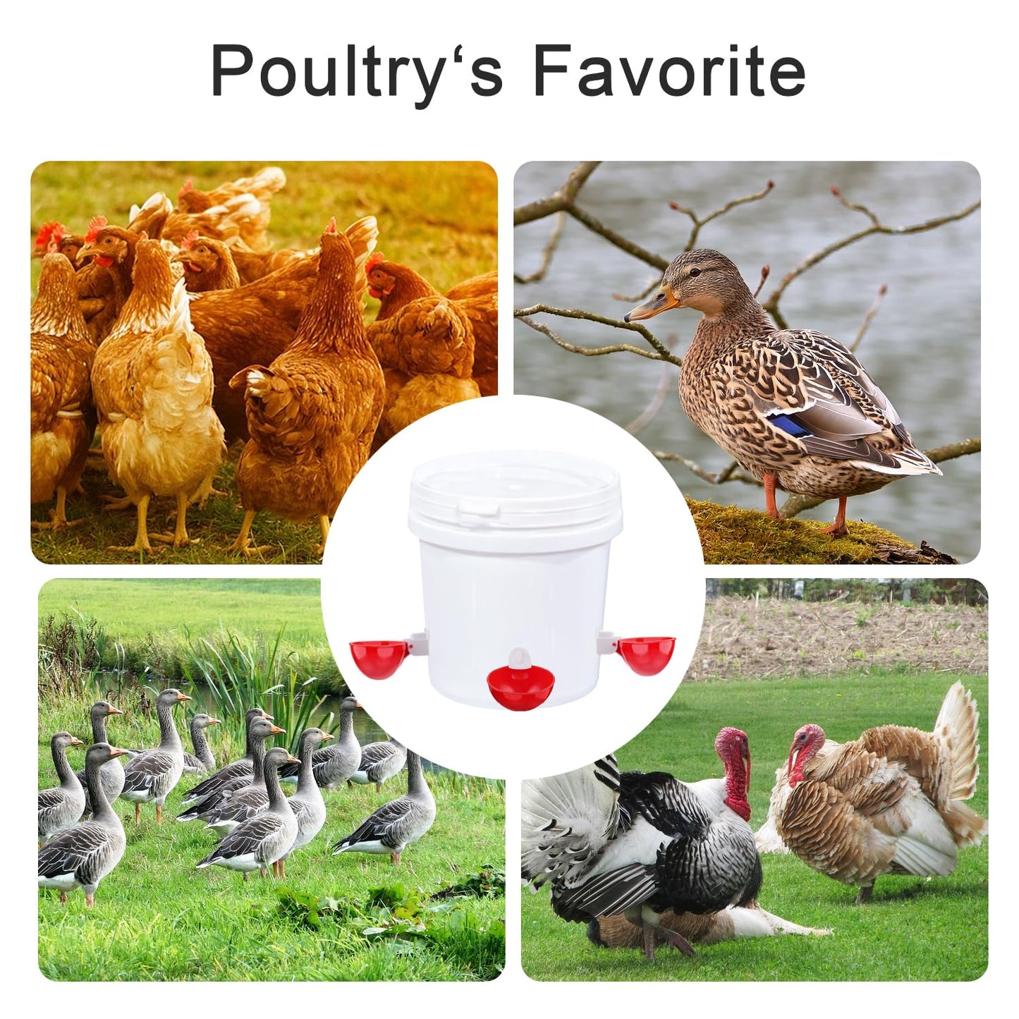 EOKOICA Chicken Waterer Cups, 6 Packs Large Chicken Watering Cups, Automatic Chicken Water Cups, Tee Fittings Poultry Feeder Cups Suitable for Chicken, Duck, Goose, Turkey with Mounting Hole Opener