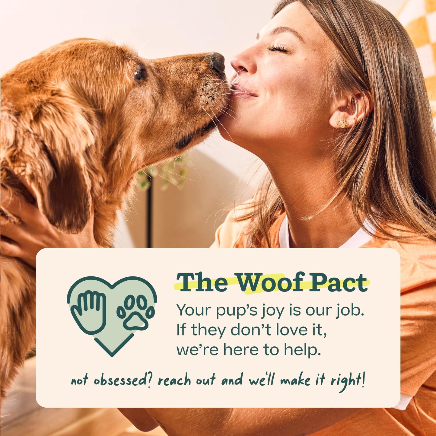 WOOF Pupsicle - Long-Lasting Interactive Dog Ball Toy to Keep Your Pup Busy and Distracted - Safe for Dogs - Low-Mess Design - Dog Toys for XL Dogs 75 lbs and Up