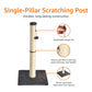 Amazon Basics Cat Scratching Post for Indoor Cats & Kittens, Medium (31.5"H), Cat Furniture with Dangling Ball Toy, Grey