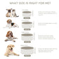 SPUNKYJUNKY 42OZ Ceramic Dog and Cat Bowl, Modern Cute Weighted Food Water Bowl for Replacement Gray (1 Pack)