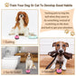 KEXIAVA 2 Pack Dog Door Bells Dog Doorbell to go Outside Puppy Train Bell for Dogs to Ring to go Potty Puppy Toilet Training Bell Jingle Bells for Door Knob Girl Puppy Essentials Accessories (Pink)