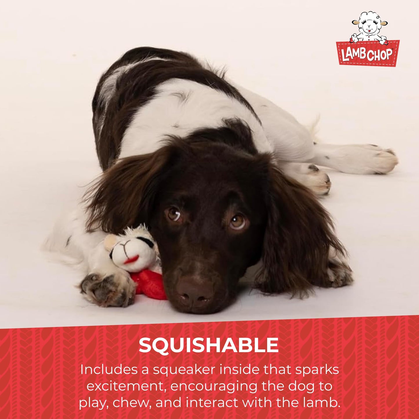Multipet Lamb Chop Dog Plush Toy - Squeaky Toy for All Dogs - Extra Soft Plush - Stuffed Animal Dog Toy for Cuddling & Playing - Cute Pet Toy (6", Cream)