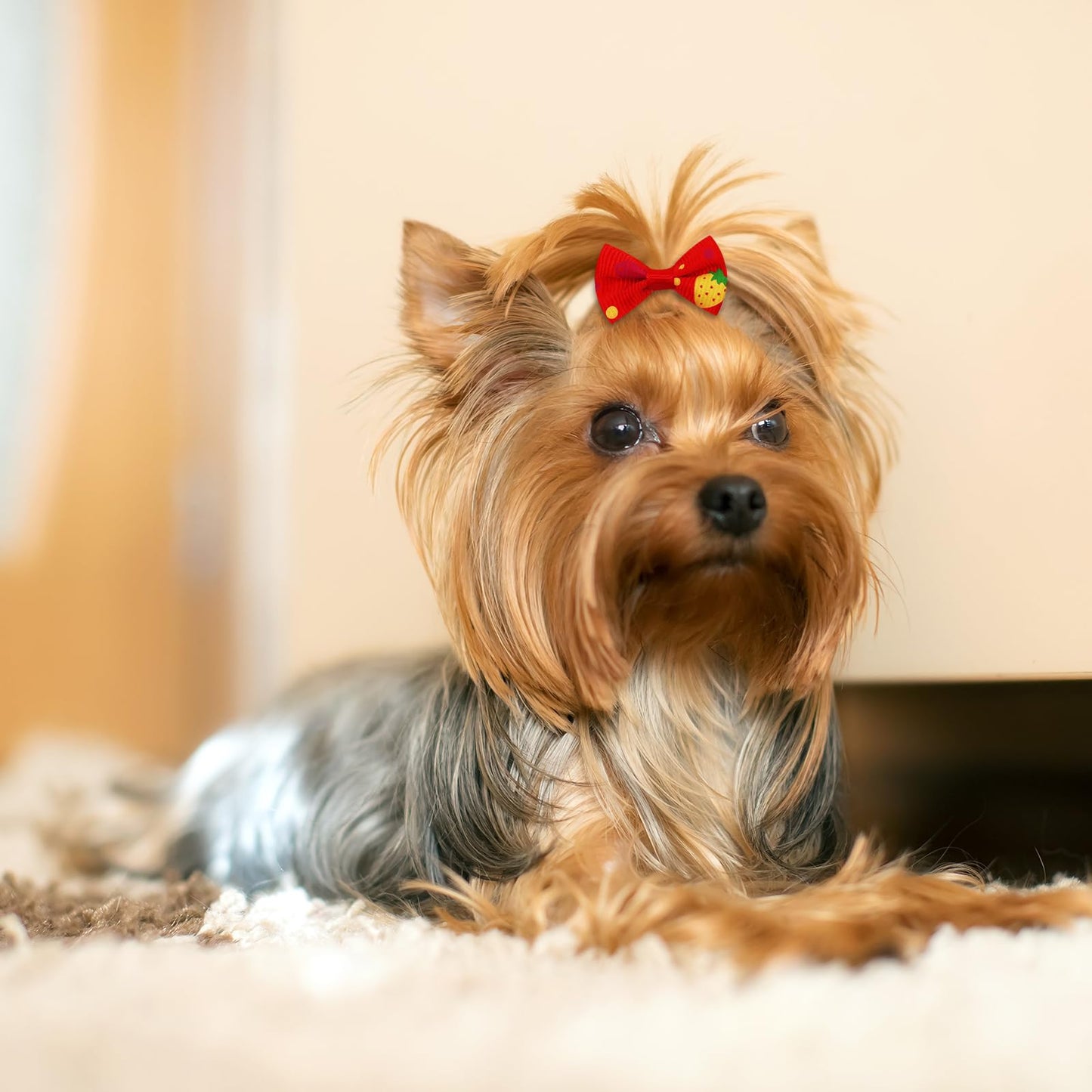 Senniea 100PCS Cute Puppy Dog Small Bowknot Hair Bows,Yorkie Doggie Bows with Rubber Band Pet Grooming Bows Dog Hair Costume Accessories for Small Dog
