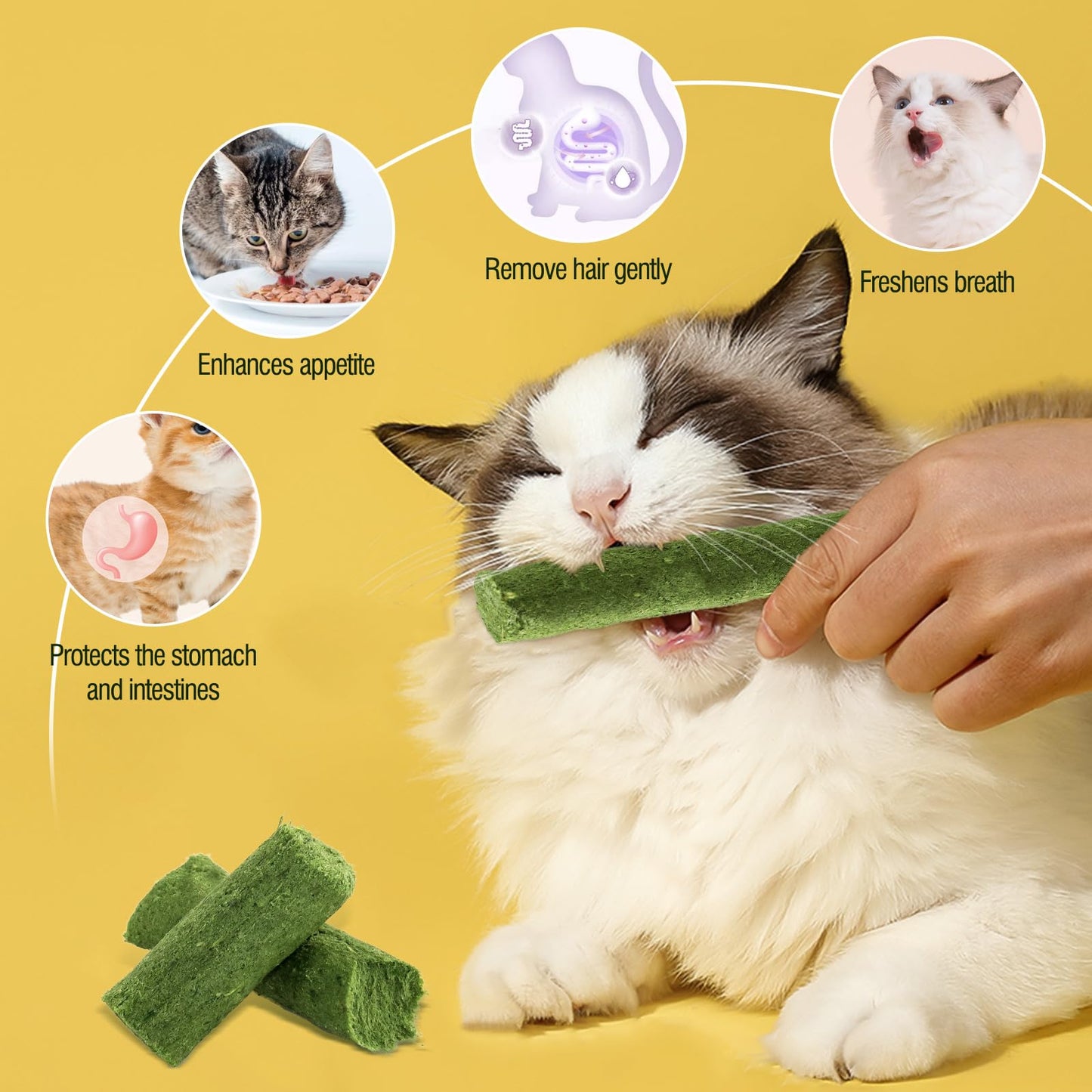Hkpetie 30g Cat Grass Sticks, Delicious Cat Grass Teething Stick Edible Cats Chew Toy Cat Treats Snack for Teeth Cleaning and Hairball Removal