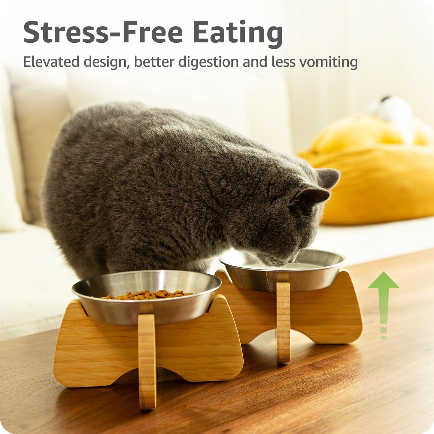 Raised Cat Bowl, 2 Pack Stainless Steel Elevated Cat Bowl Whisker Friendly Wide Flat Shallow Cute with Bamboo Stand Elevated Cat Food Plate Dishwasher Safe No Slip Lifted Raised Cat Dish Easy Clean