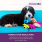 Multipet Original Loofa Dog Plush Toy - Squeaky Toy for All Dogs - Extra Soft Plush - Stuffed Animal Dog Toys for Playing (1 Count, 6”, Random Color Surprise)