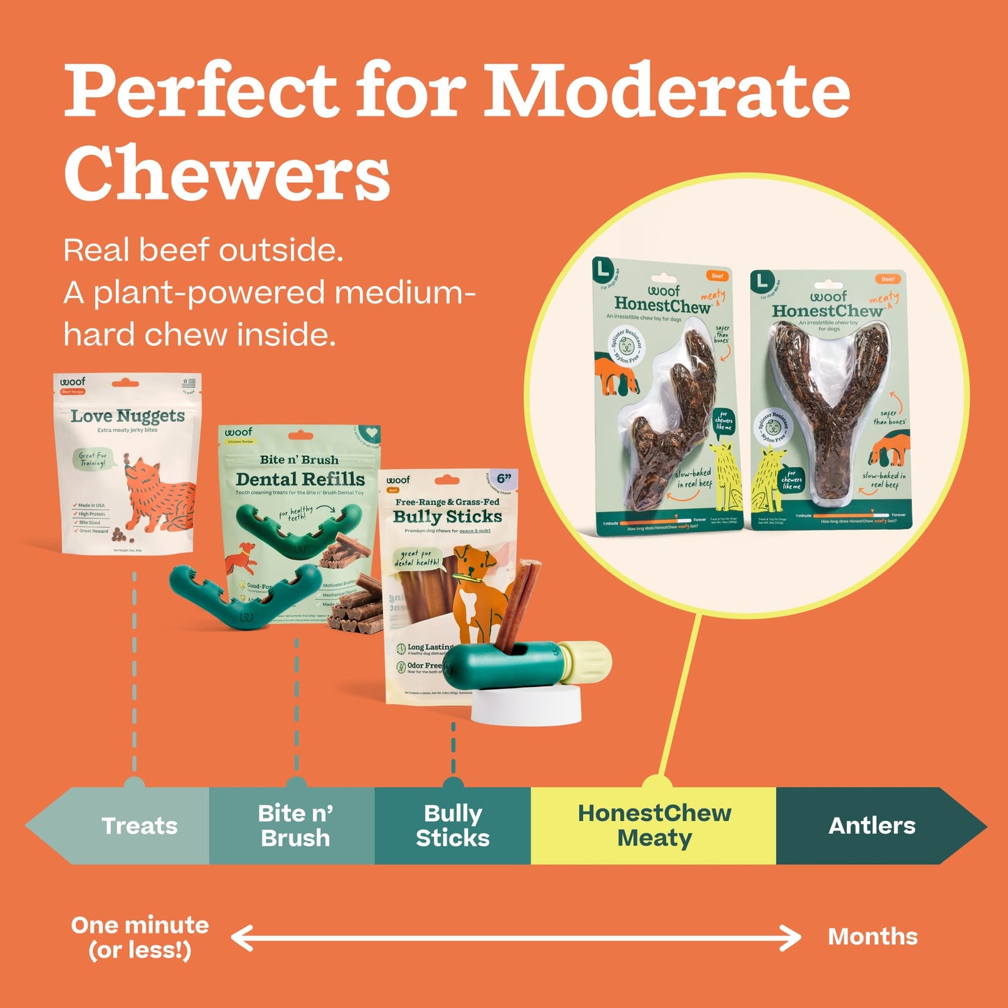 WOOF HonestChew Meaty Dog Toy Y-Gnawt - Durable Dog Chews - Made with Real Beef and Natural, Plant-Based Ingredients - Splinter-Resistant - Safer Than Dog Bones - Medium