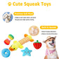 Aipper Dog Toys 25 Pack for Fun and Teeth Cleaning, Puppy Chew Toys Pack with Squeak Plush Toy,Squeaky Toy Balls,Tug of War and Rope Toys for Puppy to Small Dogs