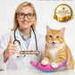 PetBusy Cat Toys with[5000mg A+Natural Catnip &Silvervine] [Baby Grade] Interactive Soft Chew Kicker Cat Toys for Indoor Cats & Kittens, [Crinkle &Bell] Fish Sound Toy, Drives Bored Cat Crazy with Fun