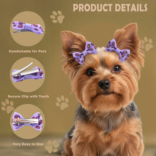 QingHan Dog Hair Bows Small Puppy Clips for Pet Grooming Accessories Doggy Gifts 60Pcs (30 Pairs)