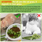Hkpetie 30g Cat Grass Sticks, Delicious Cat Grass Teething Stick Edible Cats Chew Toy Cat Treats Snack for Teeth Cleaning and Hairball Removal
