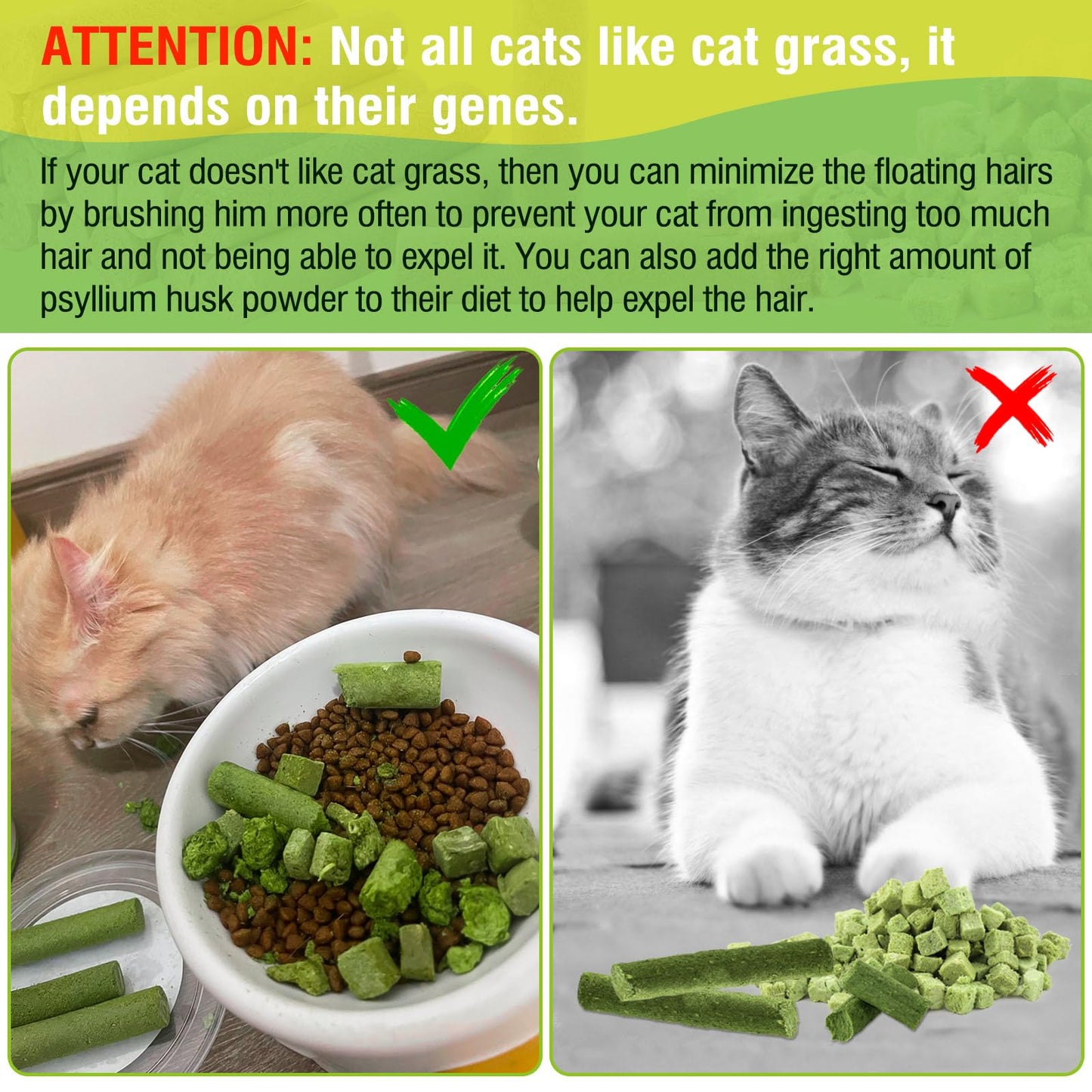 Hkpetie 30g Cat Grass Sticks, Delicious Cat Grass Teething Stick Edible Cats Chew Toy Cat Treats Snack for Teeth Cleaning and Hairball Removal