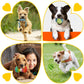 Zeaxuie 25 Pack Luxury Dog Chew Toys for Puppy, Dog Toys with Ropes, Treat Ball and Squeaky Puppy Toys for Teething Small Dogs