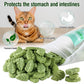 SYWUAII 100g/3.52oz Cat Grass Treats, Cat Grass Teething Stick for Hairball Remove and Teeth Cleaning, Edible Cats-Grass Stick Snack