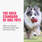 KONG Classic Stuffable Dog Toy - Fetch & Chew Toy for Dogs - Treat-Filling Capabilities & Erratic Bounce for Extended Play Time - Durable Natural Rubber Material - for Medium Dogs