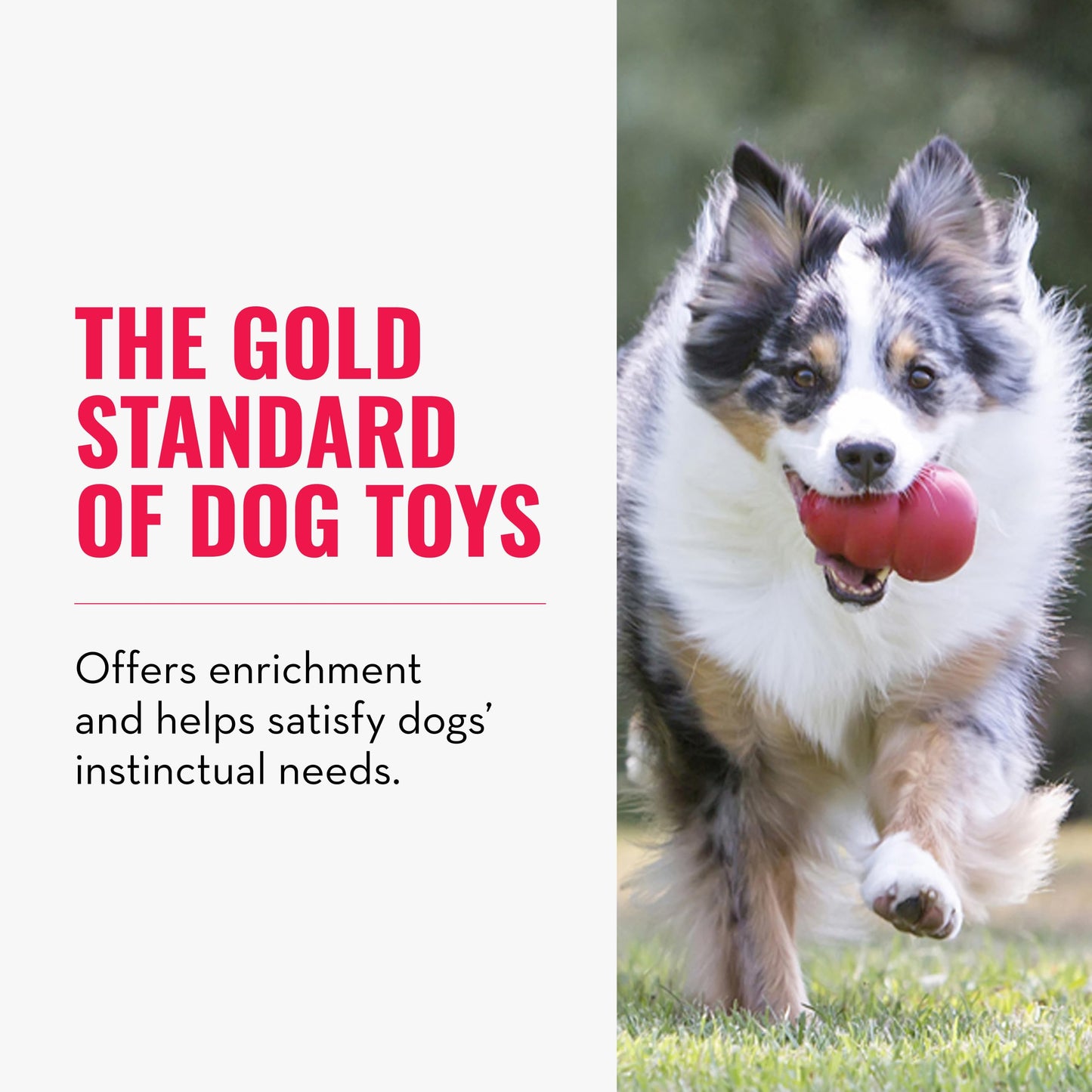 KONG Classic Stuffable Dog Toy - Fetch & Chew Toy for Dogs - Treat-Filling Capabilities & Erratic Bounce for Extended Play Time - Durable Natural Rubber Material - for Medium Dogs
