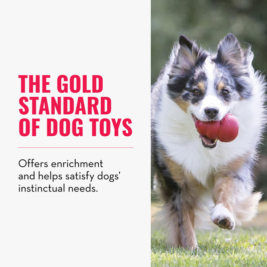 KONG Classic Stuffable Dog Toy - Fetch & Chew Toy for Dogs - Treat-Filling Capabilities & Erratic Bounce for Extended Play Time - Durable Natural Rubber Material - for Medium Dogs