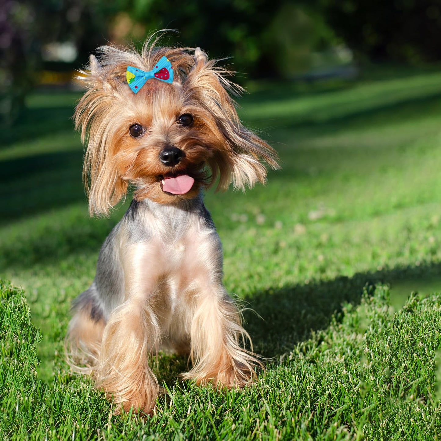 Senniea 100PCS Cute Puppy Dog Small Bowknot Hair Bows,Yorkie Doggie Bows with Rubber Band Pet Grooming Bows Dog Hair Costume Accessories for Small Dog