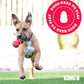 KONG Classic Stuffable Dog Toy - Fetch & Chew Toy for Dogs - Treat-Filling Capabilities & Erratic Bounce for Extended Play Time - Durable Natural Rubber Material - for Medium Dogs