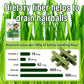 Hkpetie 30g Cat Grass Sticks, Delicious Cat Grass Teething Stick Edible Cats Chew Toy Cat Treats Snack for Teeth Cleaning and Hairball Removal
