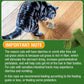 Hkpetie 30g Cat Grass Sticks, Delicious Cat Grass Teething Stick Edible Cats Chew Toy Cat Treats Snack for Teeth Cleaning and Hairball Removal