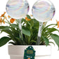 Iridescent Self Watering Globes, Glass Rainbow Plant Watering Globes, Self Watering Planter Insert, Automatic Plant Waterer Indoor (Medium-2 Pcs Iridescent, Medium)