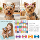 QingHan Dog Hair Bows Small Puppy Clips for Pet Grooming Accessories Doggy Gifts 60Pcs (30 Pairs)