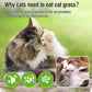 SYWUAII 100g/3.52oz Cat Grass Treats, Cat Grass Teething Stick for Hairball Remove and Teeth Cleaning, Edible Cats-Grass Stick Snack