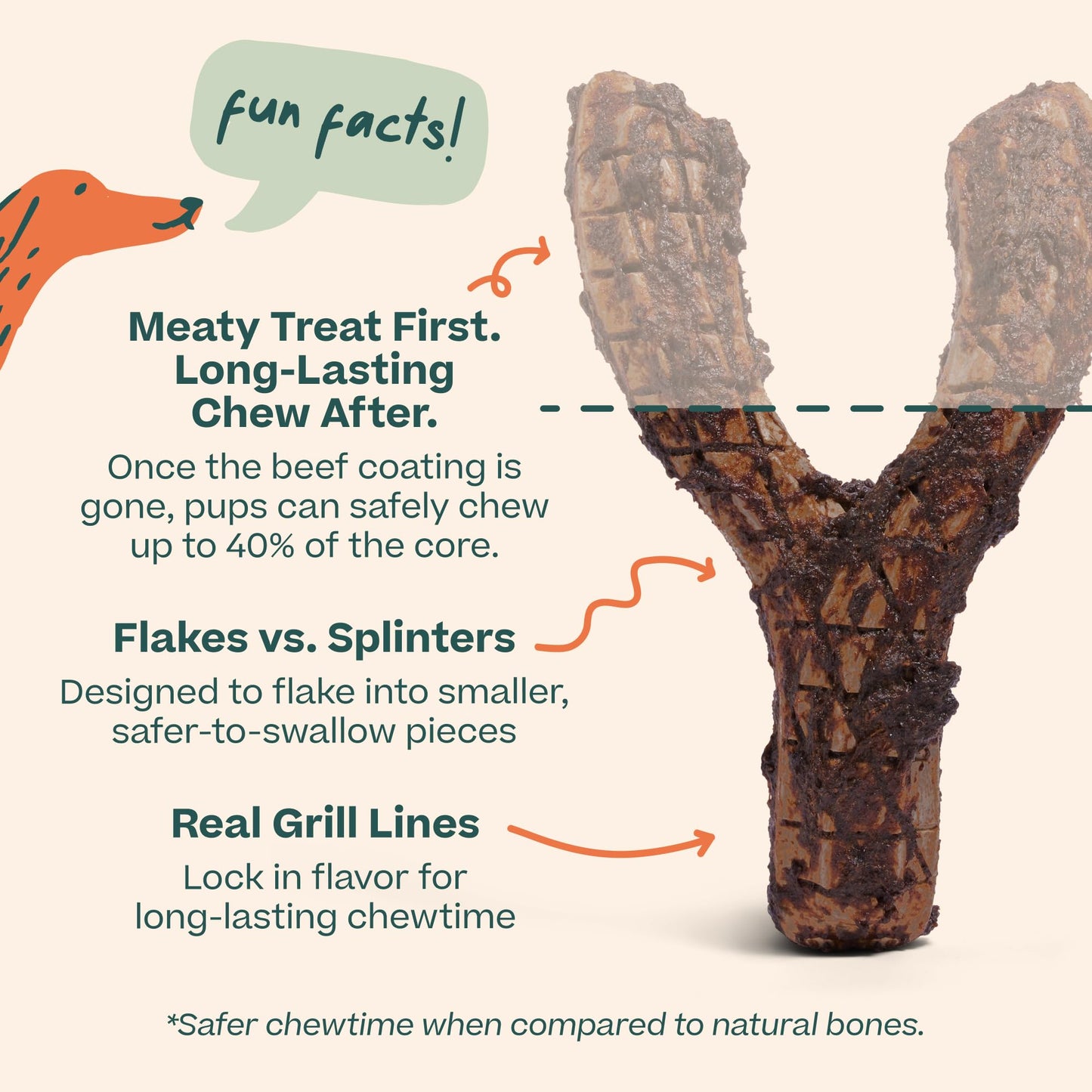 WOOF HonestChew Meaty Dog Toy Y-Gnawt - Durable Dog Chews - Made with Real Beef and Natural, Plant-Based Ingredients - Splinter-Resistant - Safer Than Dog Bones - Medium