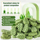SYWUAII 100g/3.52oz Cat Grass Treats, Cat Grass Teething Stick for Hairball Remove and Teeth Cleaning, Edible Cats-Grass Stick Snack