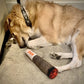 Nestpark Doggy Doobie - Funny Dog Toys - Plush Squeaky Toys for Medium, Small and Large - Cool Stuffed for Dog Birthday