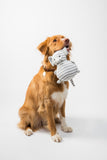 Self-Cleaning Slicker Brush for Dogs and Cats