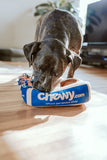Slow Feeder Dog Bowl Anti-Bloat